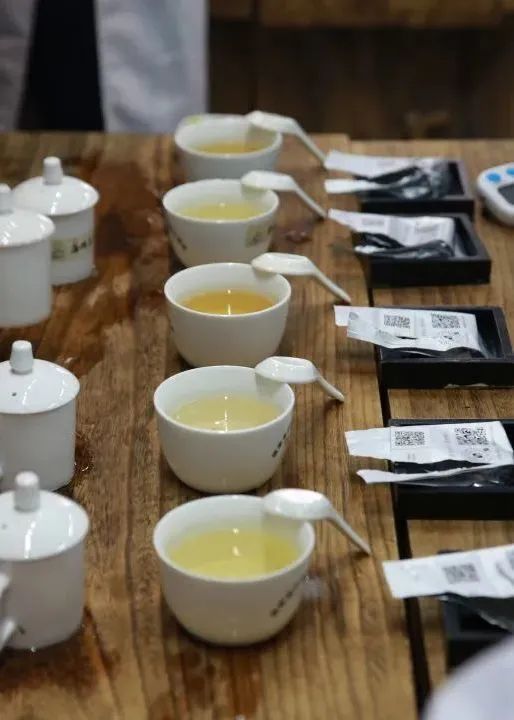 有关于闷声持续办大事,海茶会斗茶中国行再办13场!的相关信息(30)