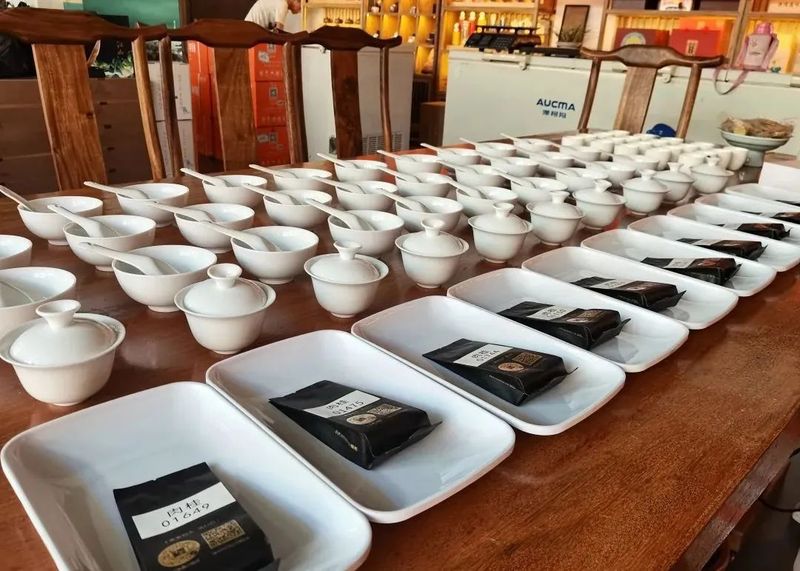 有关于闷声持续办大事,海茶会斗茶中国行再办13场!的相关信息(10)