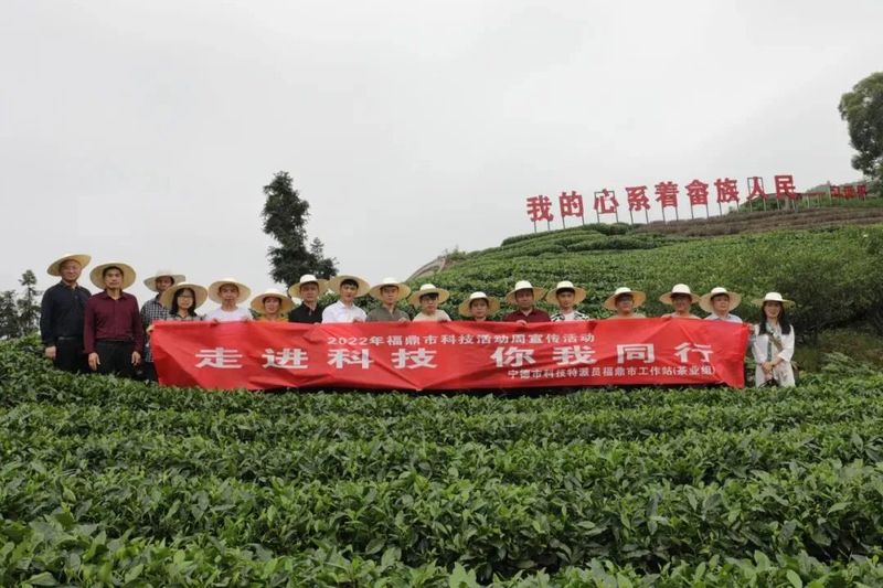 有关于科技特派员福鼎市工作站（茶业组）开展“走进科技 你我同行”主题活动的新闻