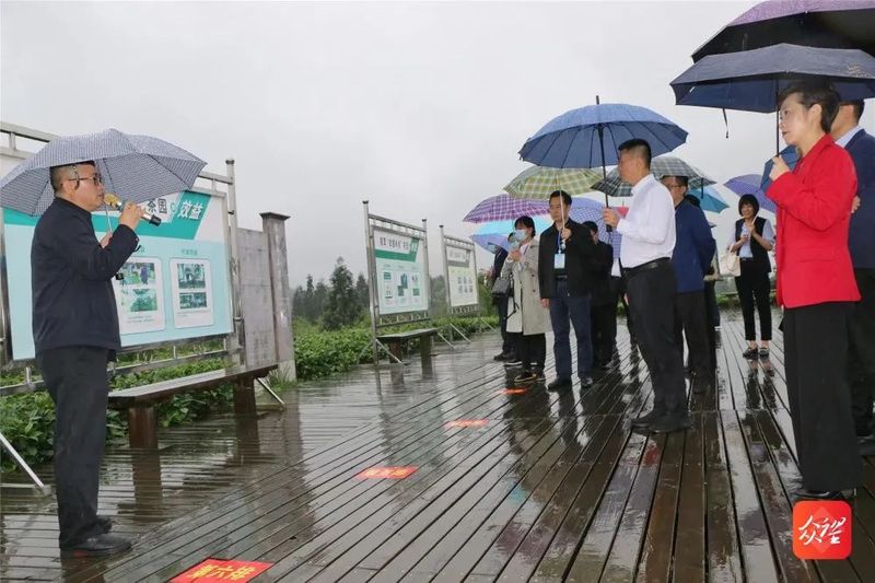 有关于贵州省茶叶出口工作座谈会在湄潭召开的相关内容(3)