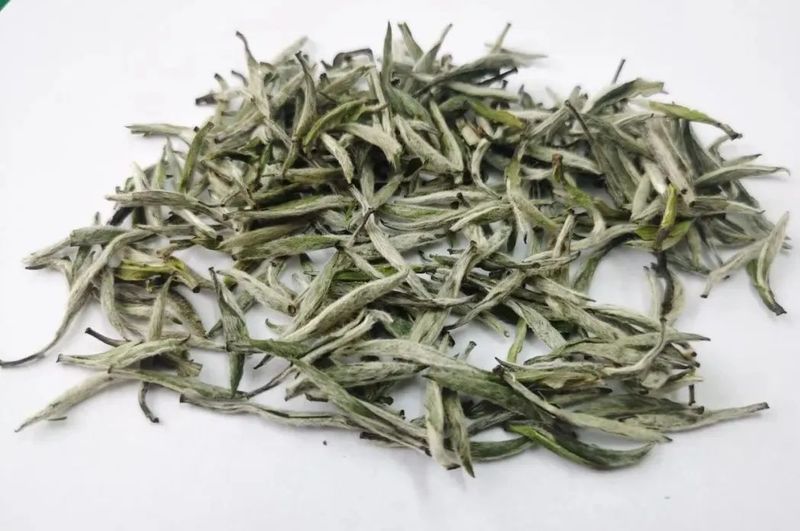 有关于汉中白茶品质评鉴结果公布的相关信息