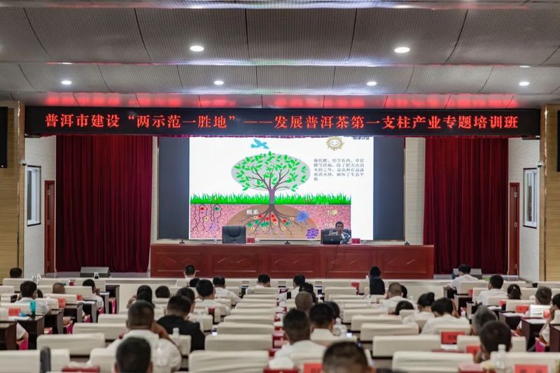 有关于普洱市建设“两示范一胜地”——发展普洱茶第一支柱产业专题培训班成功举办的资讯(8)