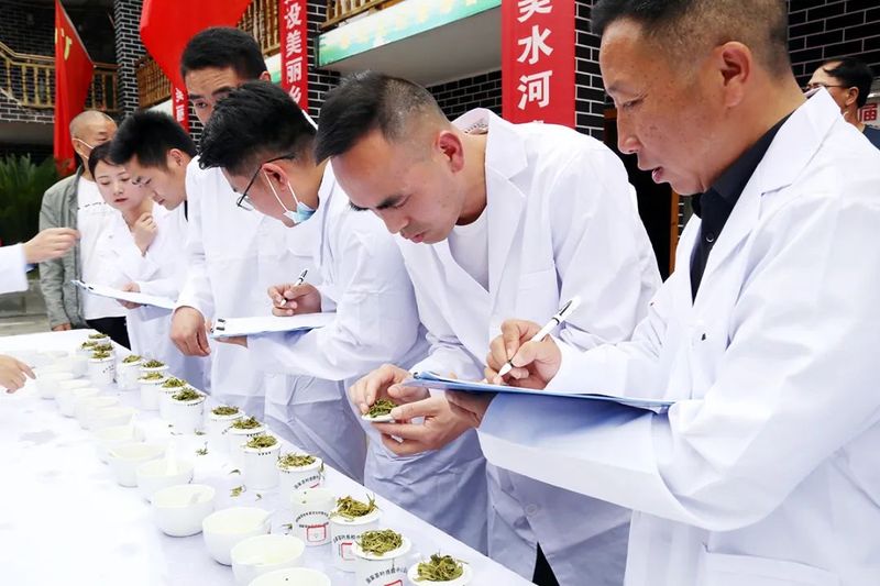 有关于凤冈锌硒茶品鉴活动奖项花落谁家？的新闻(15)