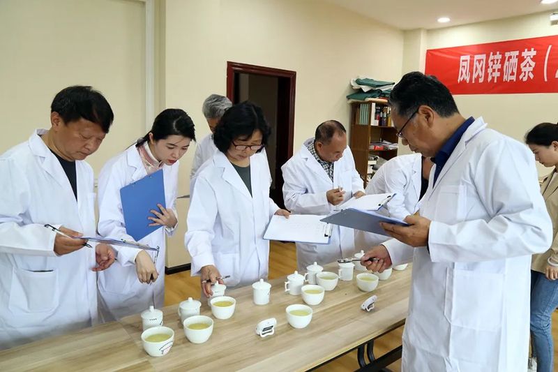 有关于凤冈锌硒茶品鉴活动奖项花落谁家？的新闻(11)