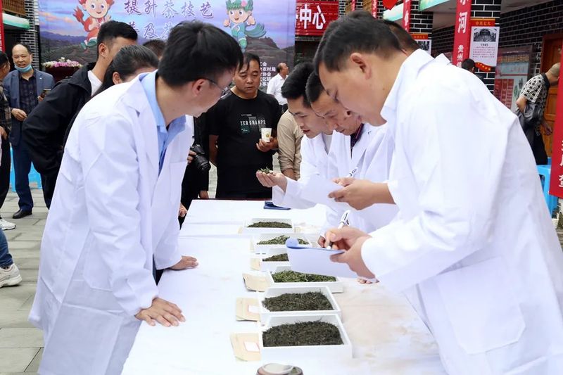 有关于凤冈锌硒茶品鉴活动奖项花落谁家？的新闻(13)