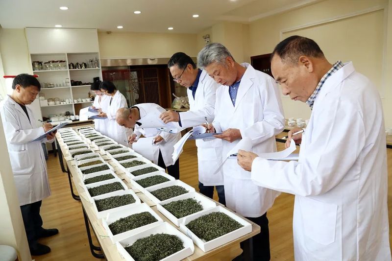 有关于凤冈锌硒茶品鉴活动奖项花落谁家？的新闻(10)