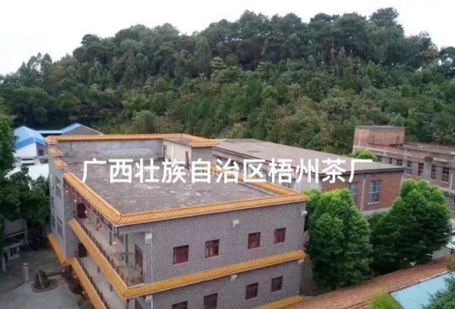 关于广西三鹤六堡茶全国走红的相关信息(2)