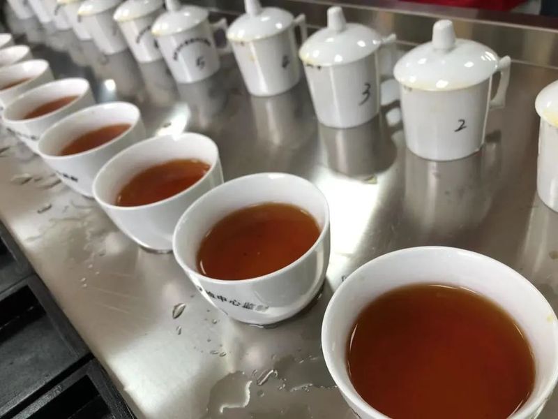 有关于今天,他们最“红”!第17届“坦洋工夫”杯茶王诞生!的内容(9)