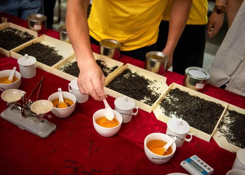 有关于今天,他们最“红”!第17届“坦洋工夫”杯茶王诞生!的内容(13)