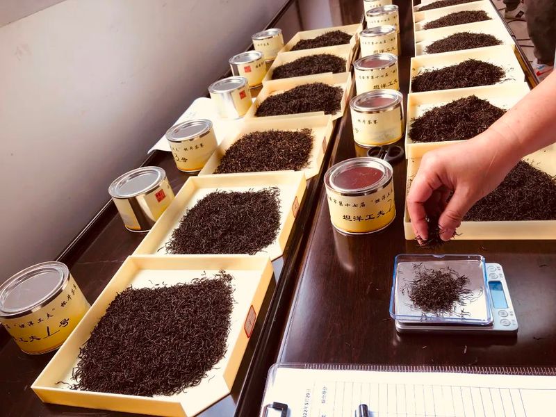 有关于今天,他们最“红”!第17届“坦洋工夫”杯茶王诞生!的内容(8)