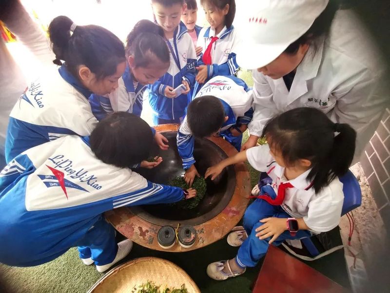 有关于黎平:茶香伴书香,茶文化进学堂的消息(4)