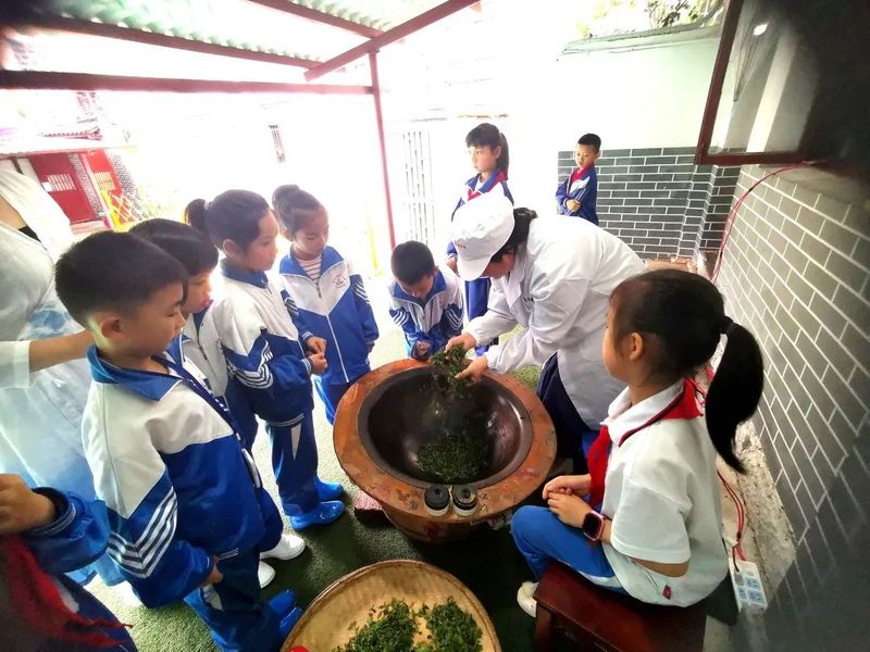 有关于黎平:茶香伴书香,茶文化进学堂的消息(3)