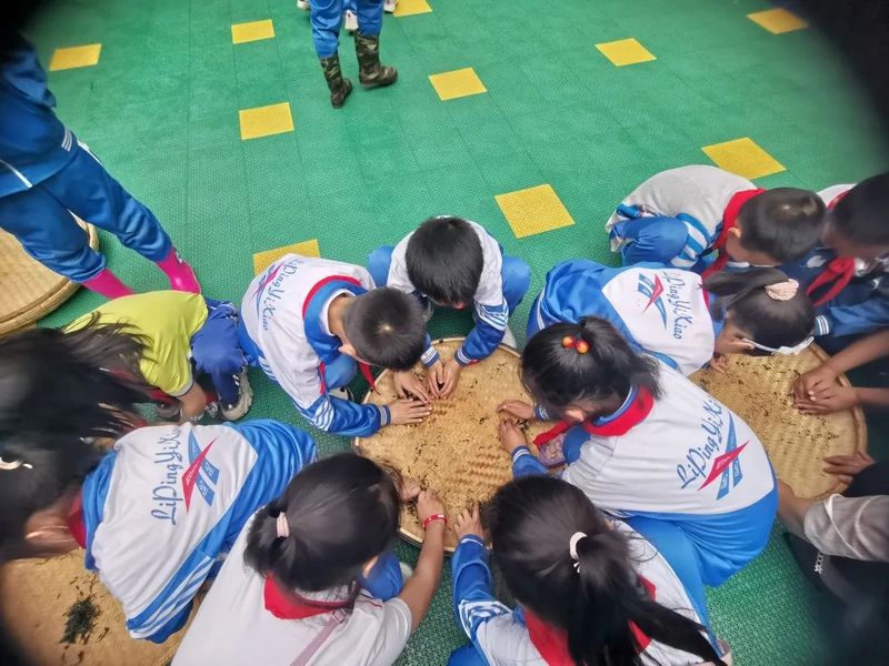 有关于黎平:茶香伴书香,茶文化进学堂的消息(6)