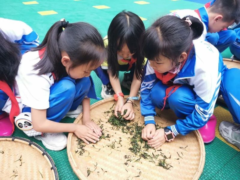 有关于黎平:茶香伴书香,茶文化进学堂的消息(8)