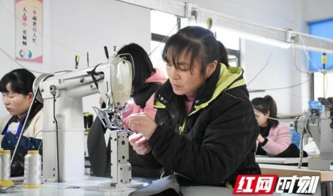 关于益阳安化：青山无限好 茶乡蕴新机的资讯(3)