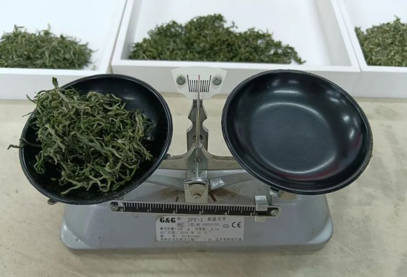 有关于贵州春季斗茶遵义市分赛在湄潭的新闻(1)