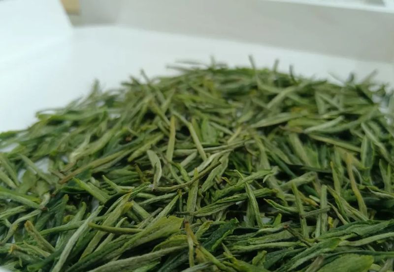 有关于贵州春季斗茶遵义市分赛在湄潭的新闻(2)