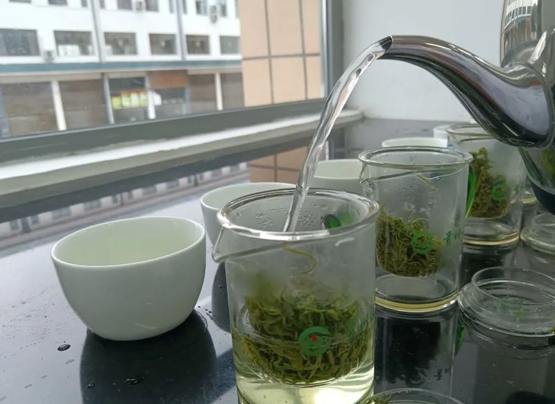 有关于贵州春季斗茶遵义市分赛在湄潭的新闻(3)