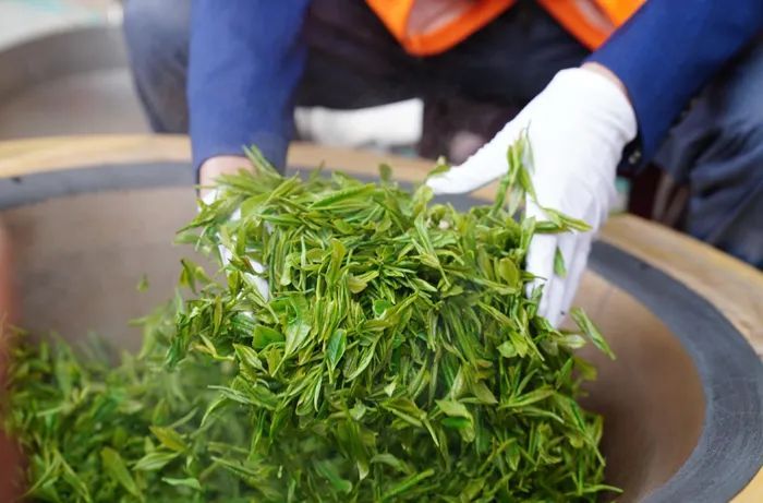 有关于“茶”上“硒望”翅膀——第三届陕西网上茶博会探访岚皋南宫山镇的相关内容(1)