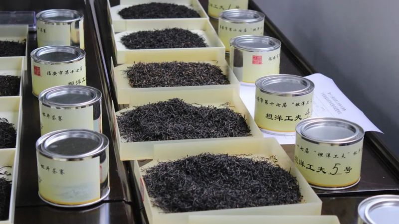 有关于世界名茶坦洋工夫茶王之争开启!有多少好茶脱颖而出?的资讯(6)