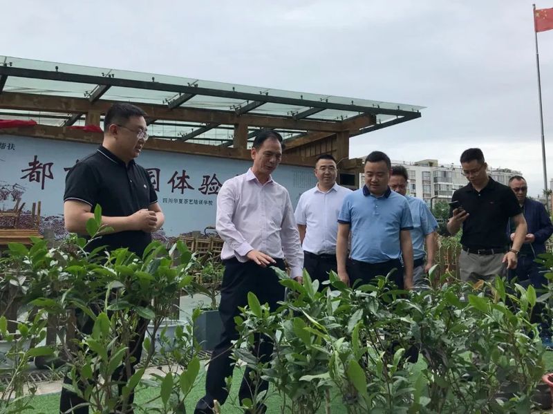 有关于奋进新征程 建功新时代 发挥协会优势作用 助力地方茶产业发展 四川省茶叶行业协会全力助推通江茶产业2022高质发展