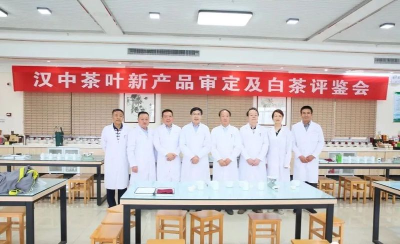 有关于专家把脉支招，助力汉茶发展——汉中市成功举办茶叶评鉴暨茶产业发展专题报告会的相关信息(1)