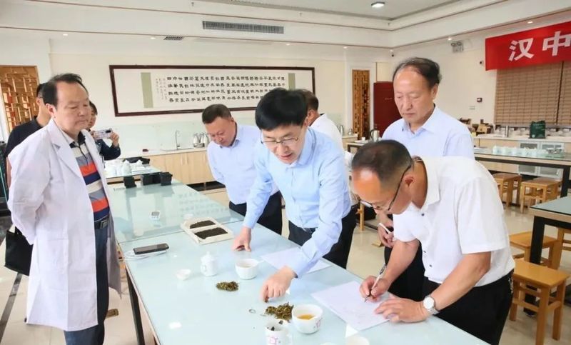 有关于专家把脉支招，助力汉茶发展——汉中市成功举办茶叶评鉴暨茶产业发展专题报告会的相关信息(3)