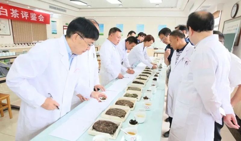 有关于专家把脉支招，助力汉茶发展——汉中市成功举办茶叶评鉴暨茶产业发展专题报告会的相关信息(2)