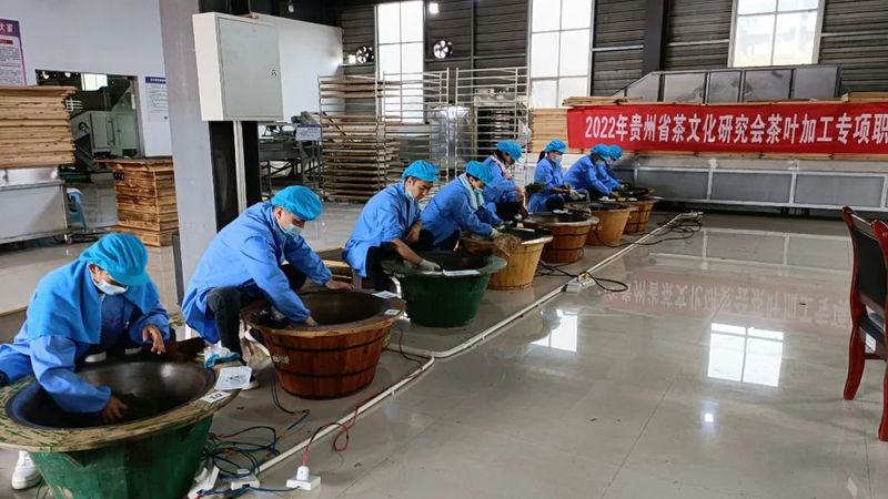 关于贵州省茶文化研究会2022年第一期茶叶加工专项职业技能考核在湄潭举行的资讯(5)