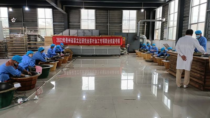 关于贵州省茶文化研究会2022年第一期茶叶加工专项职业技能考核在湄潭举行的资讯(1)