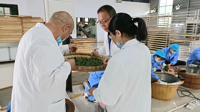 关于贵州省茶文化研究会2022年第一期茶叶加工专项职业技能考核在湄潭举行的资讯(2)