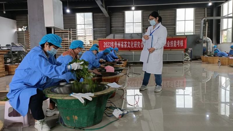 关于贵州省茶文化研究会2022年第一期茶叶加工专项职业技能考核在湄潭举行的资讯(4)