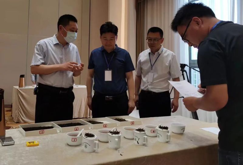 关于中国祁红看池州，香飘天下九华茶——2022第二届池州斗茶赛暨茶艺师大赛结果丰硕的最新消息(5)