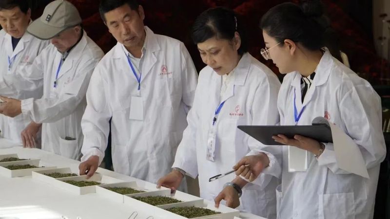 关于中国祁红看池州，香飘天下九华茶——2022第二届池州斗茶赛暨茶艺师大赛结果丰硕的最新消息(2)