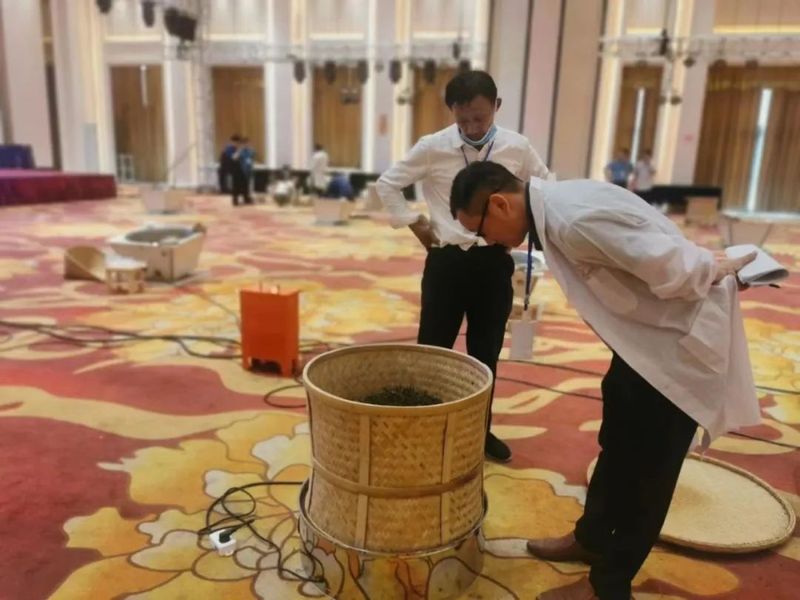 关于中国祁红看池州，香飘天下九华茶——2022第二届池州斗茶赛暨茶艺师大赛结果丰硕的最新消息(7)
