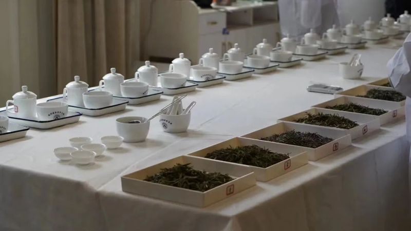关于中国祁红看池州，香飘天下九华茶——2022第二届池州斗茶赛暨茶艺师大赛结果丰硕的最新消息(3)