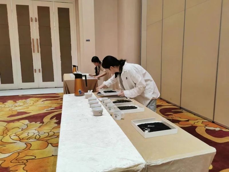 关于中国祁红看池州，香飘天下九华茶——2022第二届池州斗茶赛暨茶艺师大赛结果丰硕的最新消息(11)