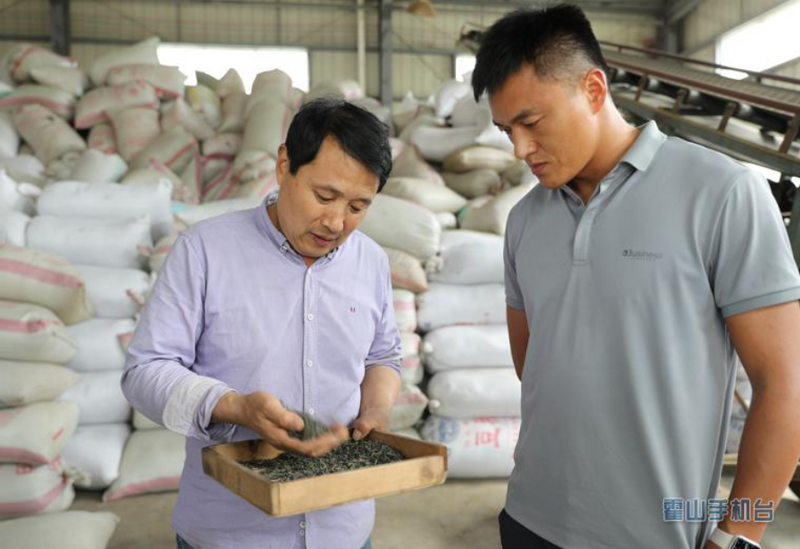 关于对接“一带一路” 霍山茶产业大有可为的相关内容