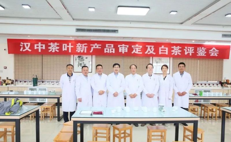 关于专家把脉支招,助力汉茶发展——汉中市举办茶叶评鉴暨茶产业发展专题报告会的新闻(1)