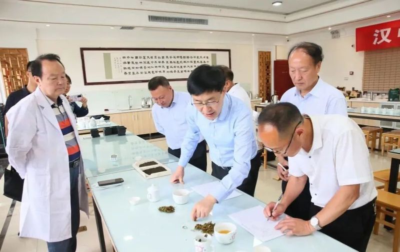 关于专家把脉支招,助力汉茶发展——汉中市举办茶叶评鉴暨茶产业发展专题报告会的新闻(2)