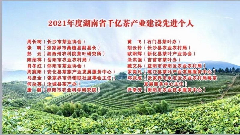 有关于2022湖南省茶叶行业工作会:神秘湘西,茶香吉首的相关内容(3)