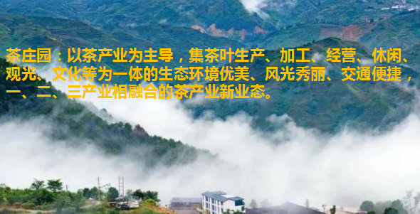有关于景宁县成功举办茶文化康养和茶文化园区建设培训的信息(8)