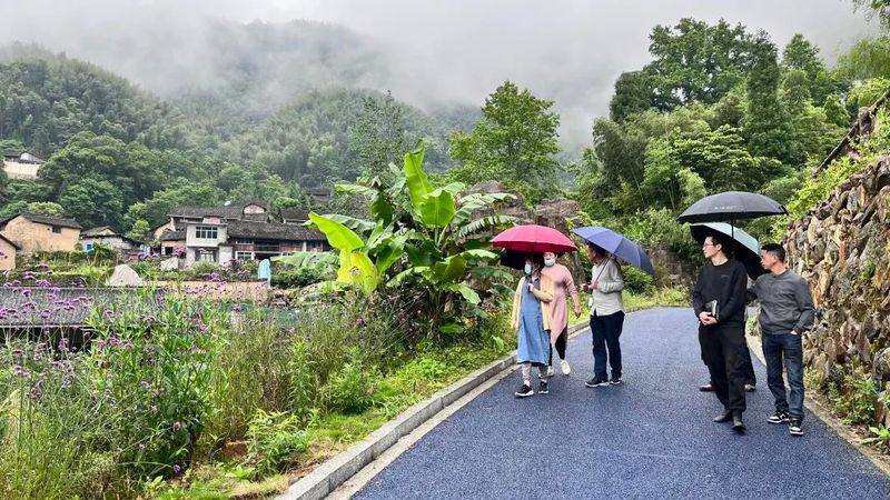 有关于景宁县成功举办茶文化康养和茶文化园区建设培训的信息(9)