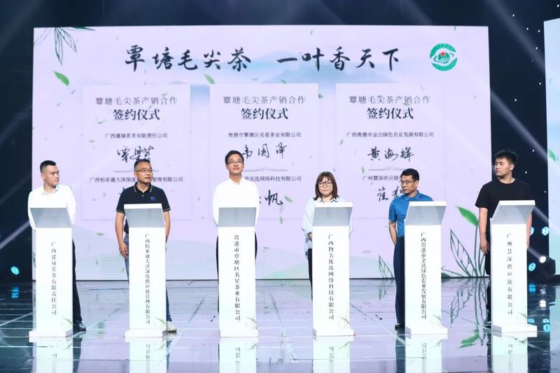 有关于覃塘毛尖茶产业发展及品牌推介会在南宁举行的新闻(13)