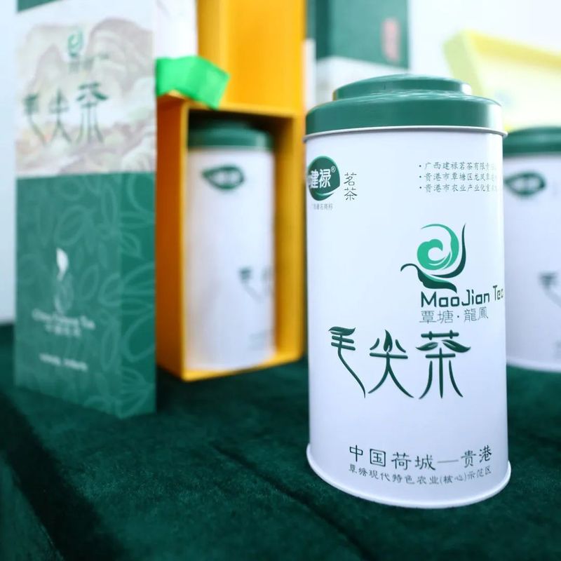 有关于覃塘毛尖茶产业发展及品牌推介会在南宁举行的新闻(11)