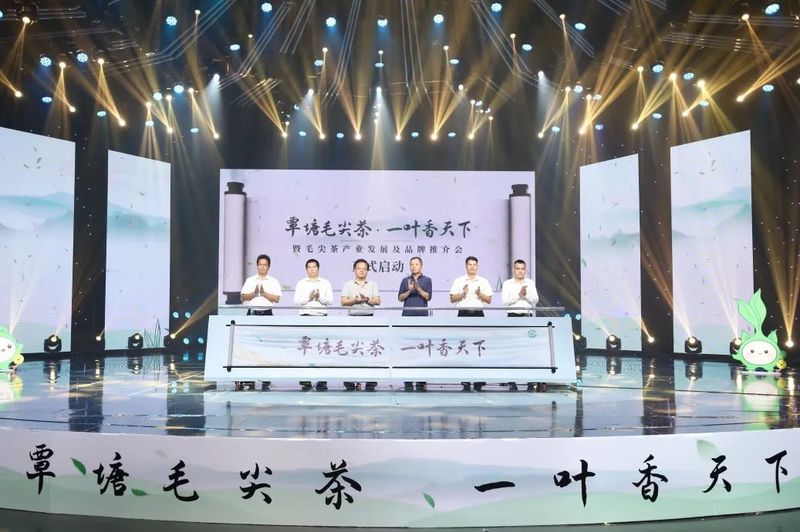 有关于覃塘毛尖茶产业发展及品牌推介会在南宁举行的新闻(15)