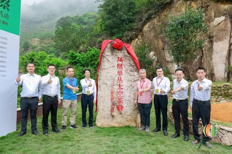 有关于茶界盛事"国际茶日"结硕果的资讯(3)