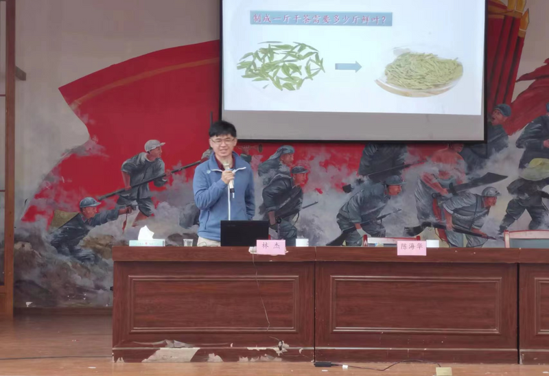 有关于杭州滨江与泰顺举办首场茶农技能培训班的资讯(1)