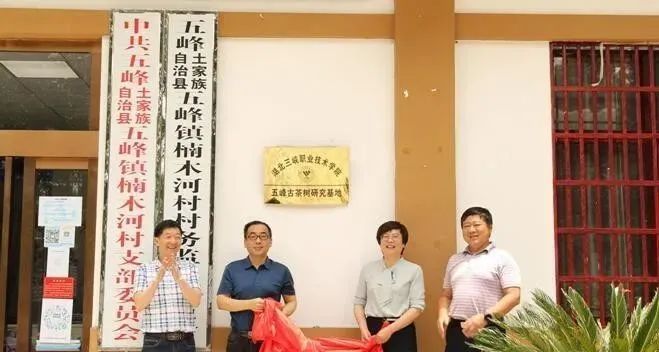 有关于湖北首家古茶树研究基地在五峰挂牌的消息