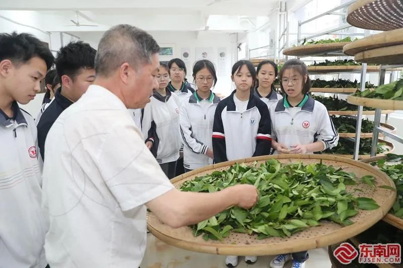 关于武夷山：手工制茶上课堂 茶乡教育更出彩的相关信息